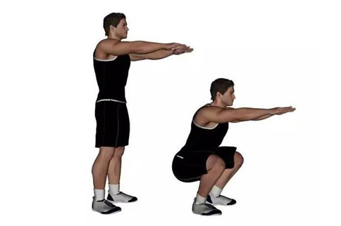 Women's gym fitness program