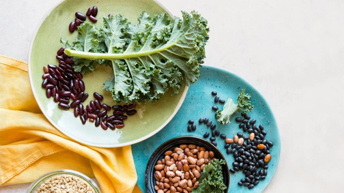 Colorful plates with beans and kale
