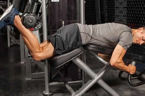 Prone leg curl